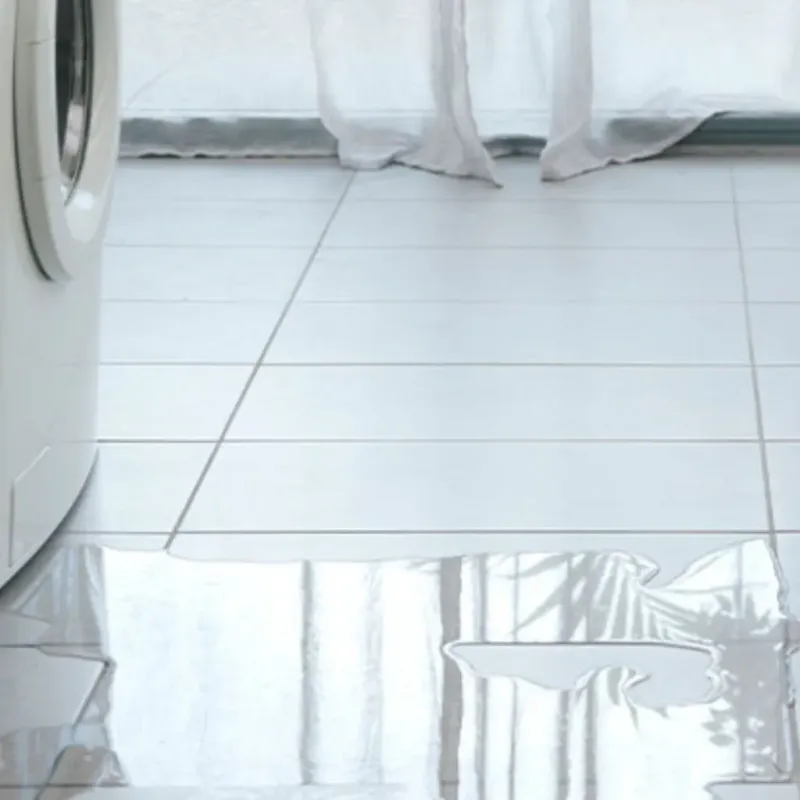 Appliance Leak Cleanup in Bonney Lake, WA