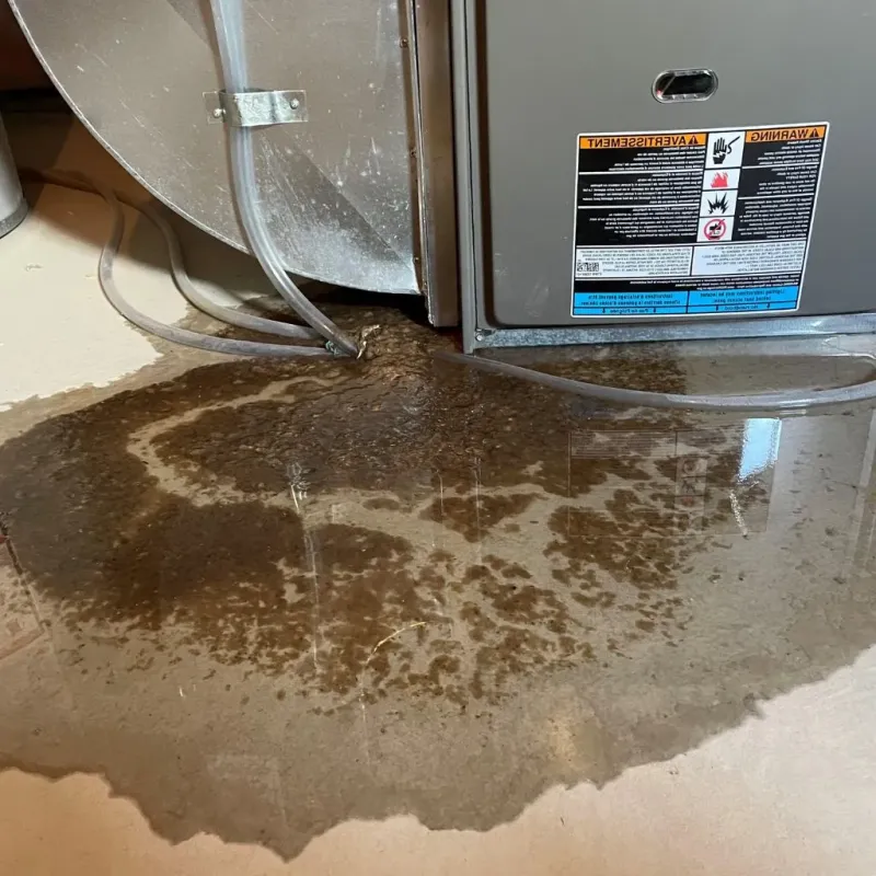 Pipe Burst and Leak Restoration in Bonney Lake, WA