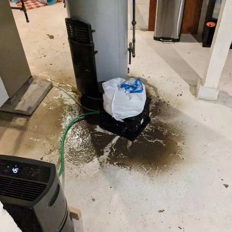 Sewage Backup Cleanup Service in Bonney Lake, WA